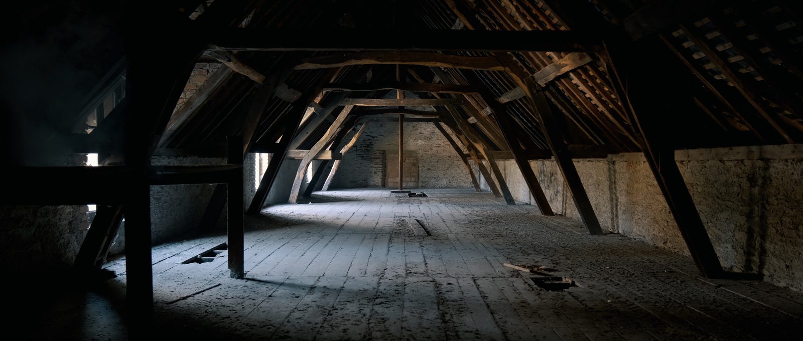 La charpente du château — L’héritage des ruines